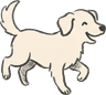 Small dog