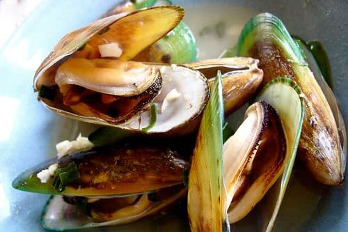 Green Lipped Mussel