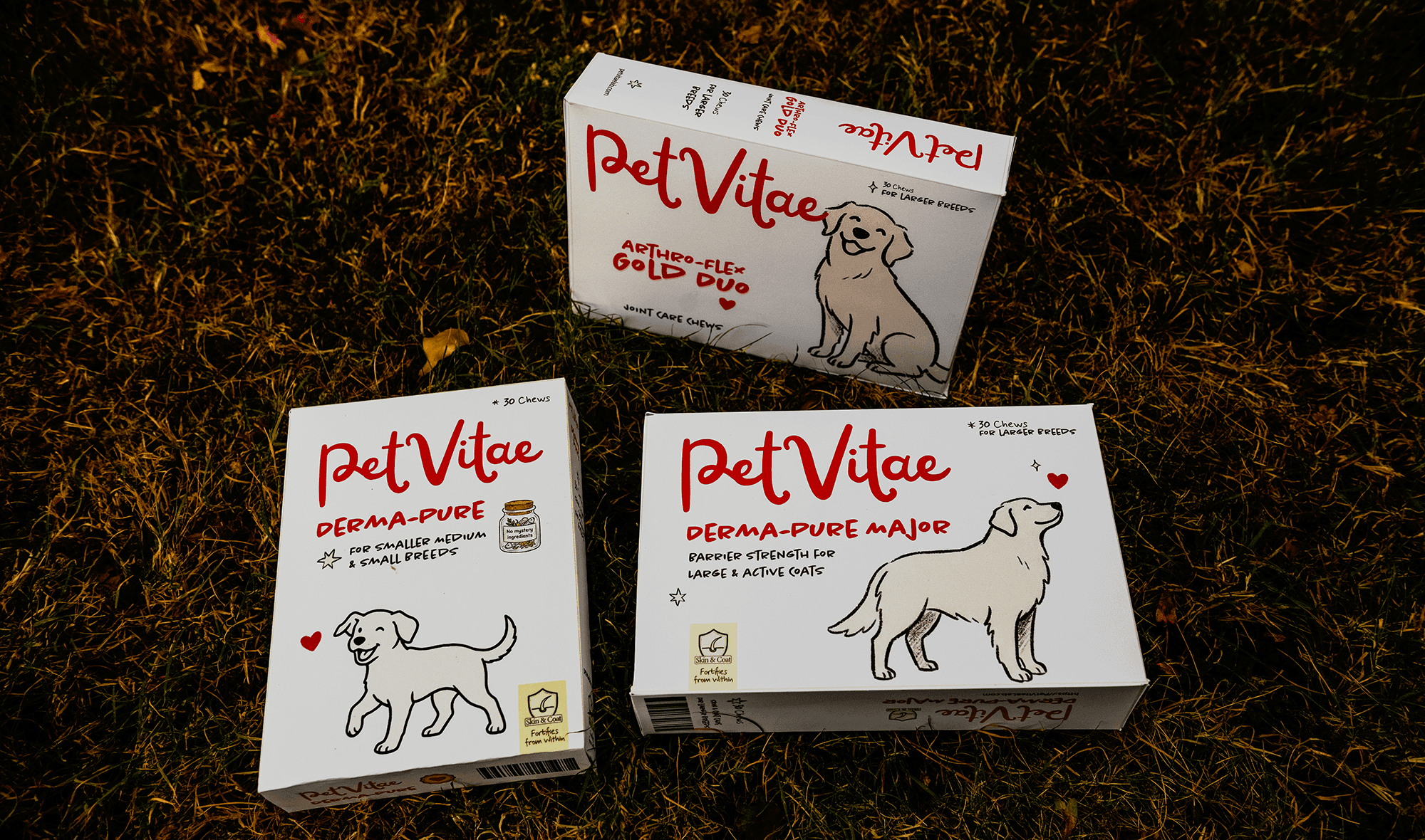 A set of PetVitae boxes showing the different sizes of Derma-Pure for small, medium and large breeds and Arthro-Flex joint care.