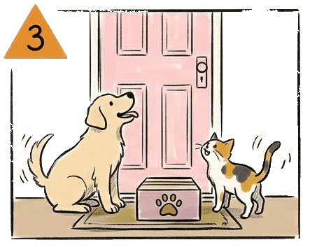 a puppy and a kitten are excited about the delivery