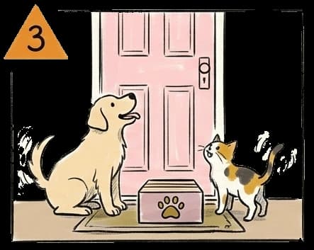 a puppy and a kitten are excited about the delivery